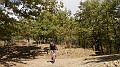 DSCN5276