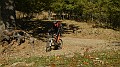 DSCN5278
