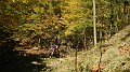 DSCN5279