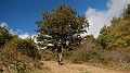 DSCN5280