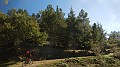 DSCN5289