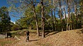 DSCN5290