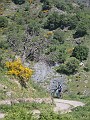DSCN0117