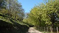 DSCN4758