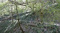 DSCN4767