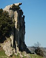 DSCN4772