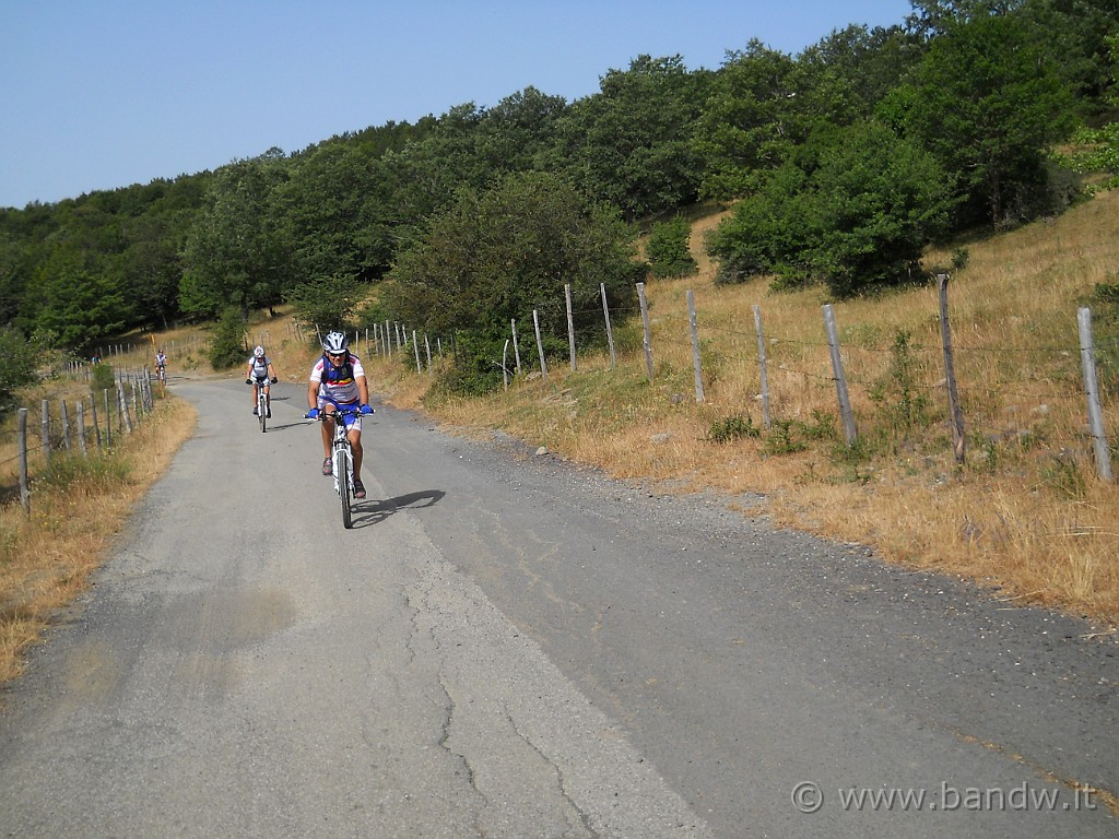 DSCN5631.JPG - Asfalto direzione " Monte Soro"