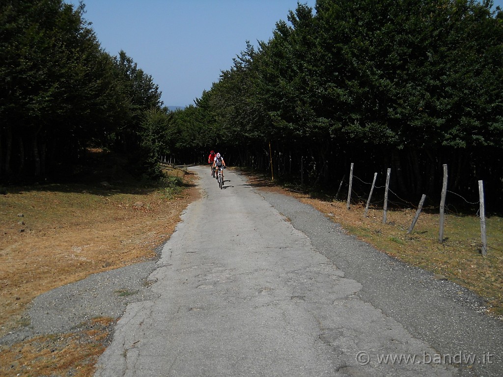 DSCN5659.JPG - Verso Monte Soro