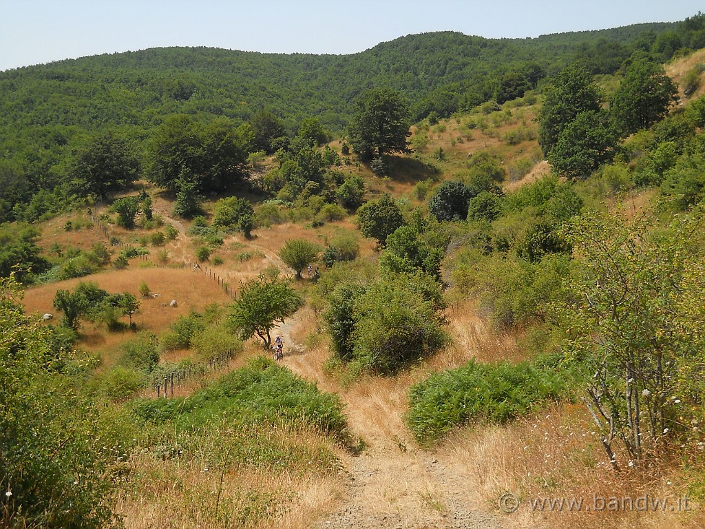 DSCN5688.JPG - Proseguiamo in continui "saliscendi" che non sono solo le condizioni del luogo ma anche ciò che facciamo sulle nostre bici e cioè "saliamo e scendiamo (e spingiamo)  scendi perchè il fondo è proprio impervio