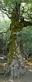 DSCN5646-47