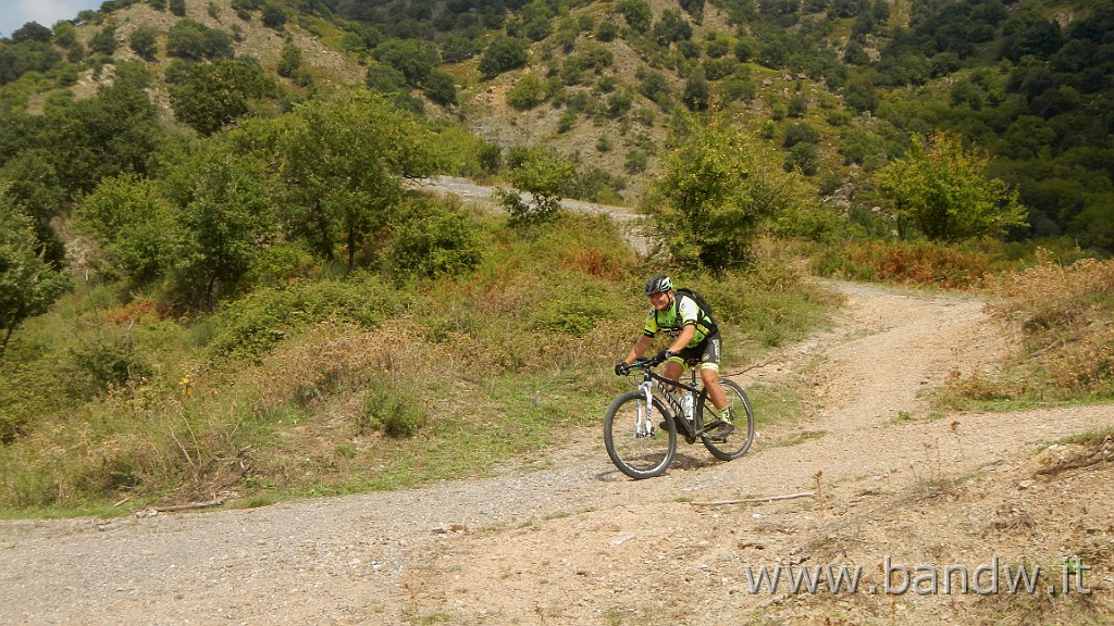 DSCN7660.JPG -                                