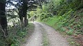 DSCN7648