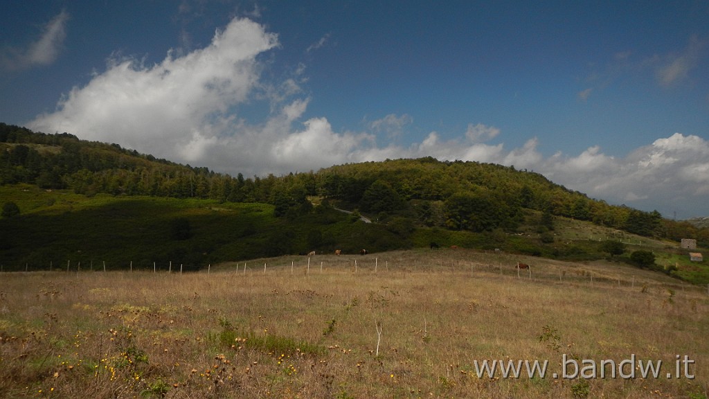 DSCN7674.JPG -                                