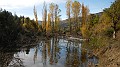 DSCN5617