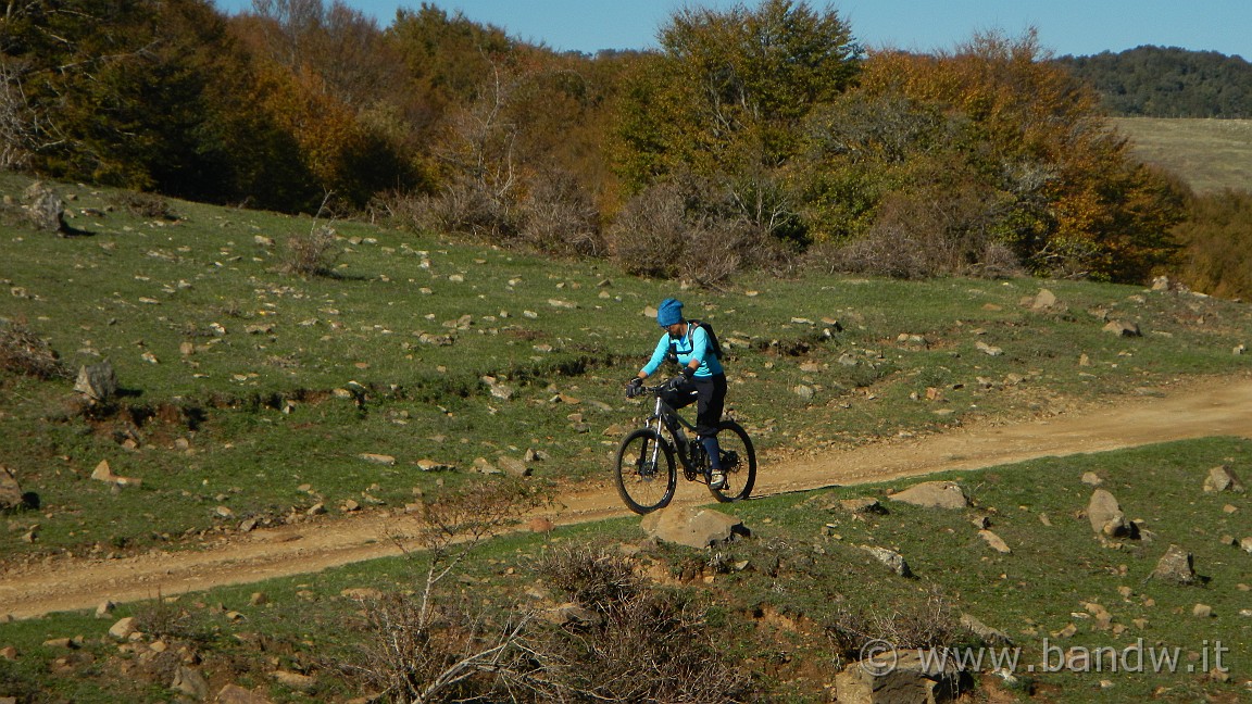 DSCN5332.JPG -                                