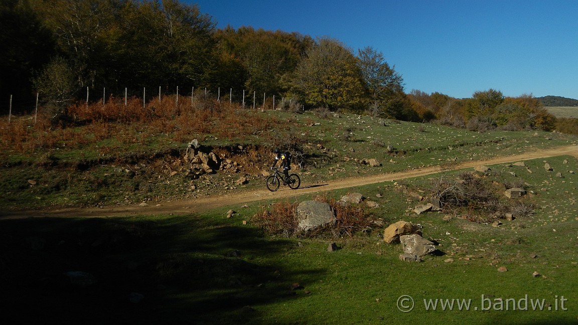 DSCN5333.JPG -                                