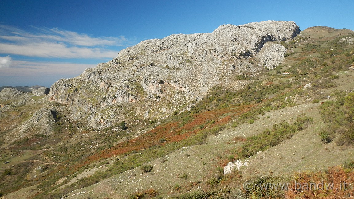 DSCN5365.JPG -                                