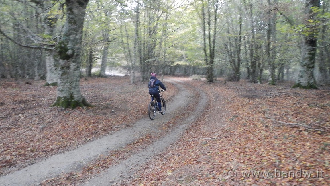 DSCN5528.JPG -                                