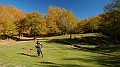 DSCN5311