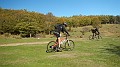 DSCN5323