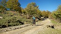 DSCN5328