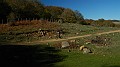 DSCN5333