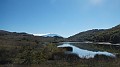 DSCN5336