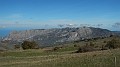 DSCN5337