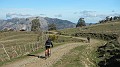 DSCN5341