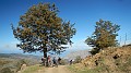 DSCN5342