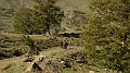 DSCN5346