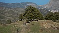 DSCN5348