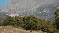 DSCN5349