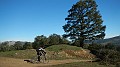DSCN5350