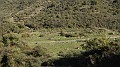 DSCN5359