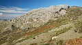 DSCN5365