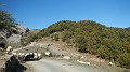 DSCN5368