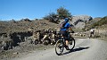 DSCN5371