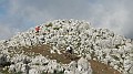 DSCN5422