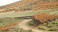 DSCN5452