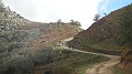 DSCN5460
