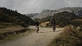 DSCN5491
