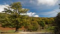DSCN5503