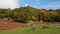 DSCN5507