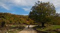 DSCN5515