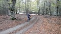 DSCN5528