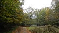 DSCN5532