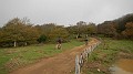 DSCN5535