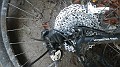 DSCN5539