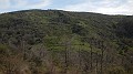 DSCN4668
